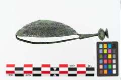 Foto von Bronzetutulusscheibenfibel (NHMW-PRAE-025122)